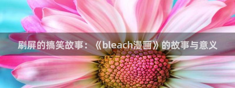 韩漫漫画免费入口：刷屏的搞笑故事：《bleach漫画》的故事与意义
