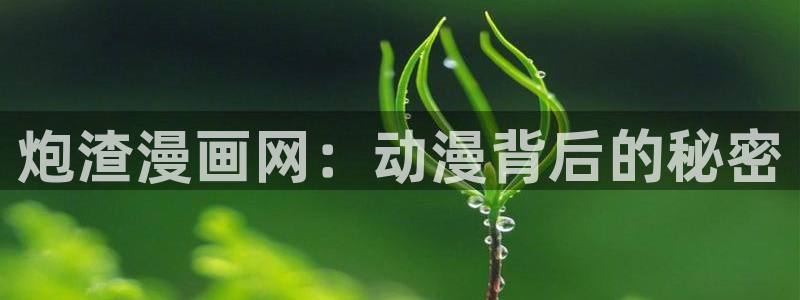 看韩漫生肉的网站：炮渣漫画网：动漫背后的秘密