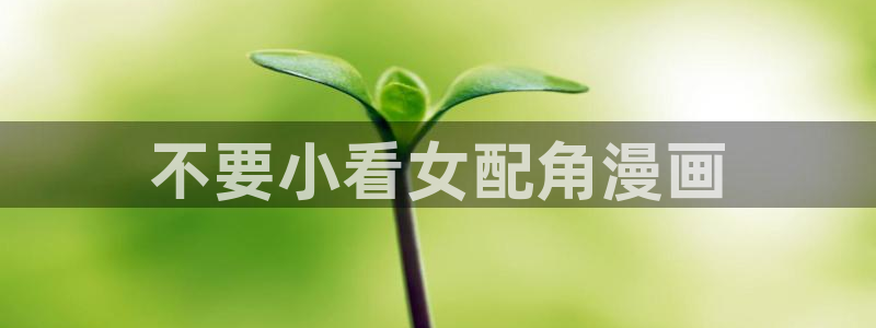 六漫画韩漫：不要小看女配角漫画