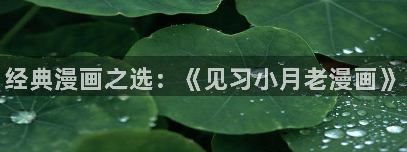 韩漫黄片：经典漫画之选：《见习小月老漫画》